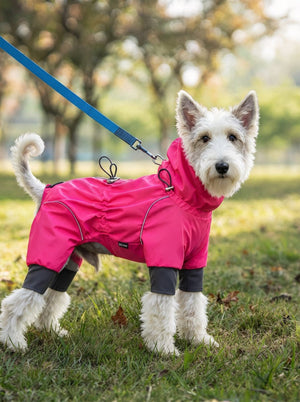 West Highland terrier on grass, wearing #rosered 4-legged dog raincoat with reflective trim, attached with blue leash, park scene