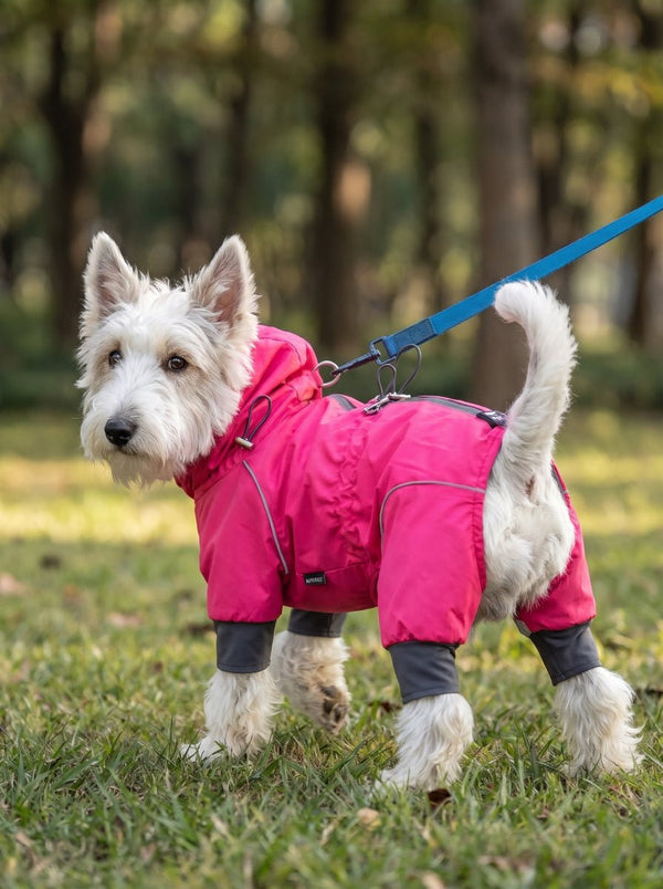 Back view of Westie dog in #rosered hooded raincoat, adjustable drawstrings and leash opening, grassy park outdoor shot