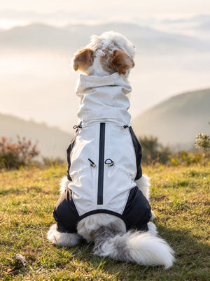 back view of #grey Four-Legged Dog Raincoat