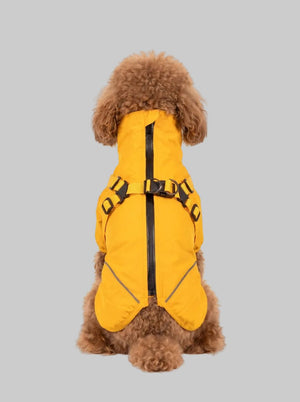 Back view of small dog wearing bright yellow two-legged waterproof raincoat with integrated harness, zipper and reflective trim, plain white background