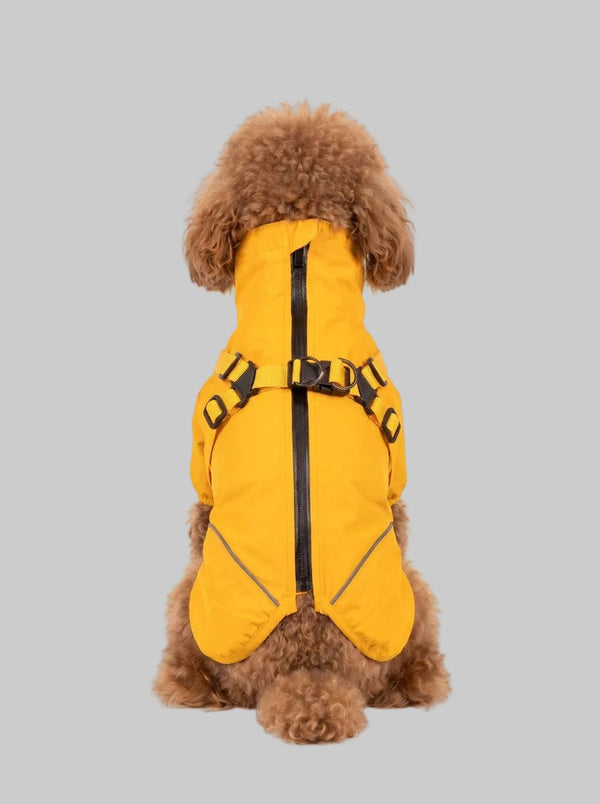 Back view of small dog wearing bright yellow two-legged waterproof raincoat with integrated harness, zipper and reflective trim, plain white background