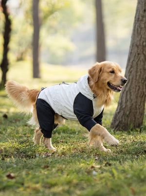#grey Four-Legged Dog Raincoat