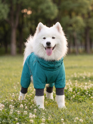 #lakeblue Four-Legged Dog Raincoat