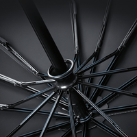Storm-resistant Automatic Umbrella