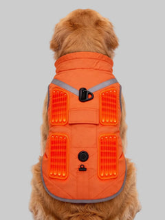 Heated Dog Vest