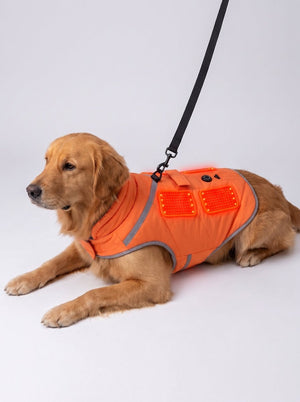 Heated Dog Vest