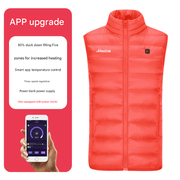 SIngle Switch Duck Down Vest