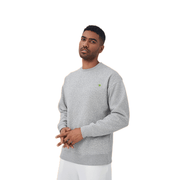 Unisex Crewneck Pullover Sweatshirts - Sidiou Group