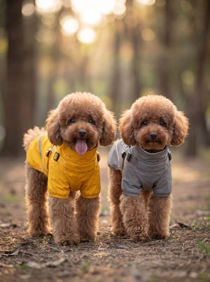 waterproof dog raincoat with harness