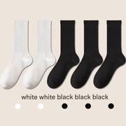 Women's 7A Antibacterial Cotton Socks - Sidiou Group