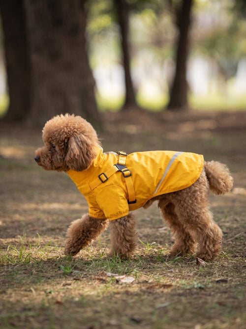 #yellow two legged puppy raincoat